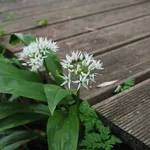 IMG-20210326-WA0067